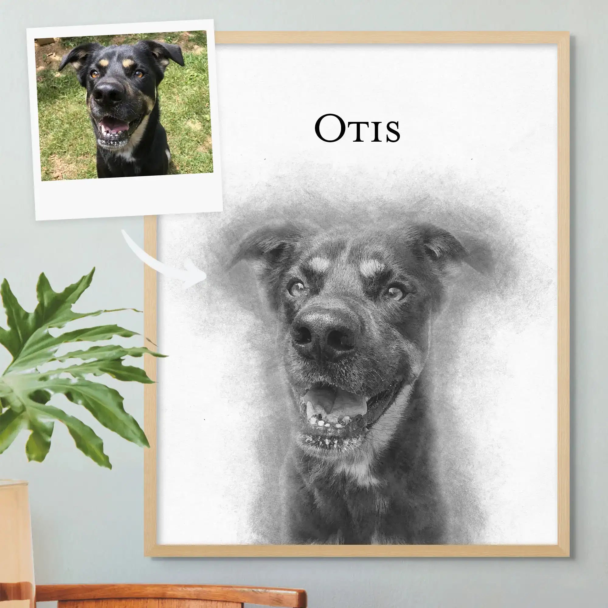 Custom Pet Portrait