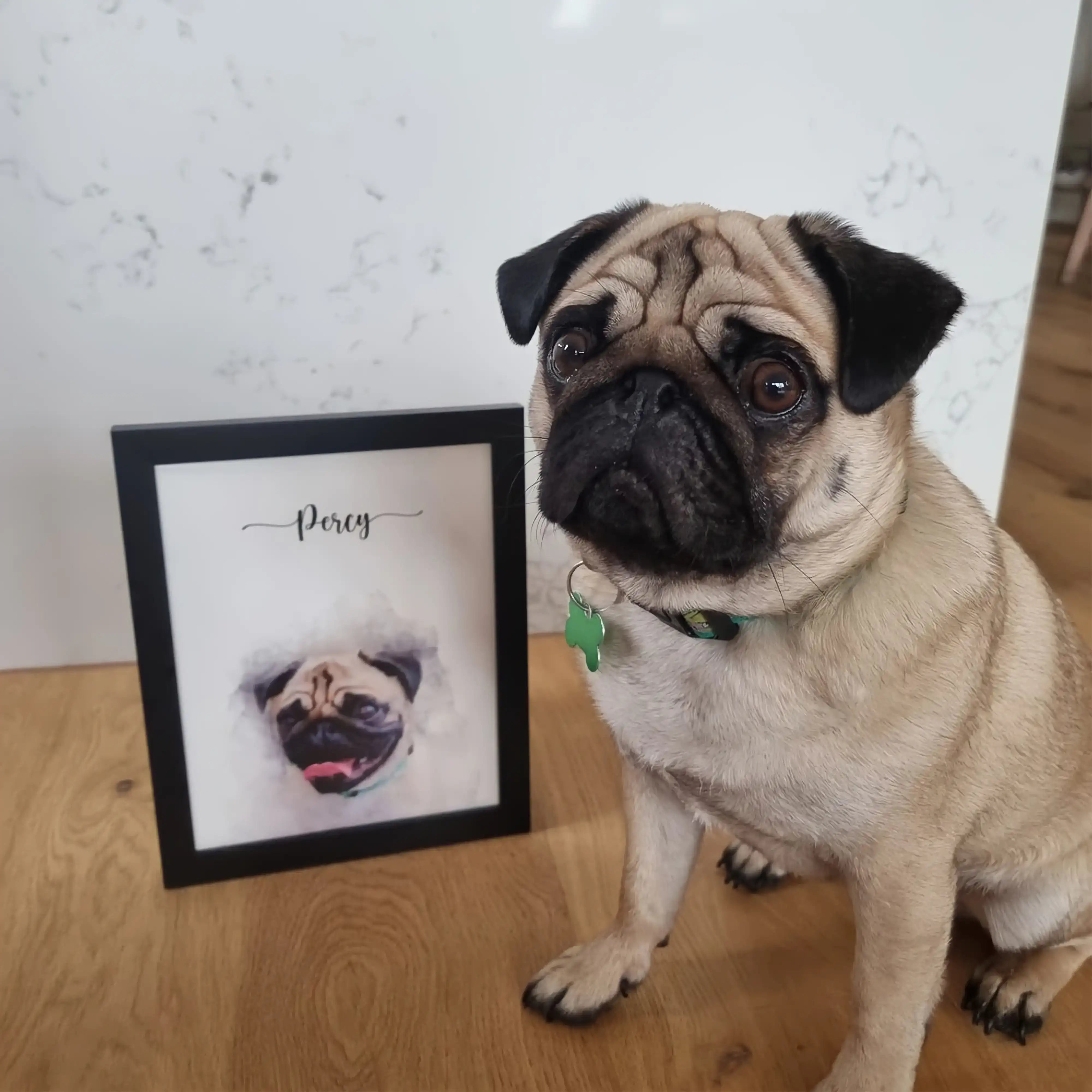 Custom Pet Portrait