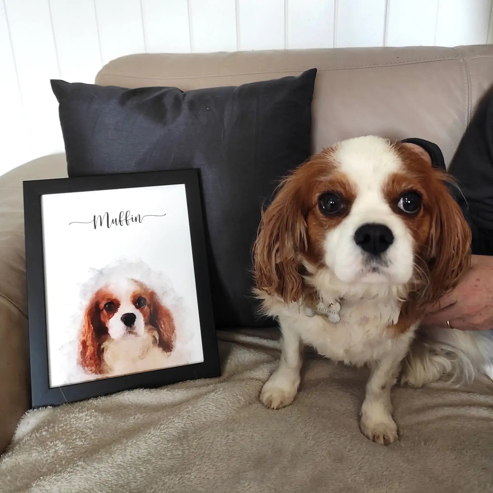 Custom Pet Portrait